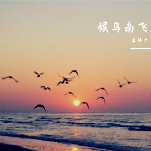 候鸟南飞（翻自 唐焯儀ZOET）