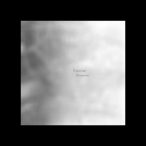 Reaction-Reponse