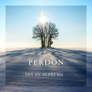 PERDON