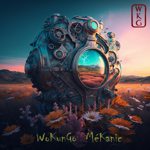 Mekanic