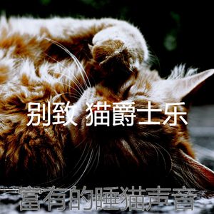 温和睡猫梦想