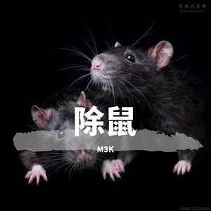 除鼠