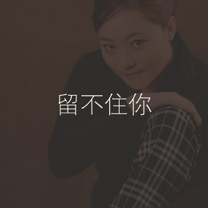 留不住你