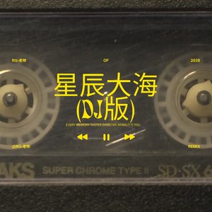 星辰大海 (DJ版)
