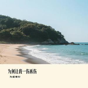 为何让我一伤再伤 (Cover 肖雨蒙)