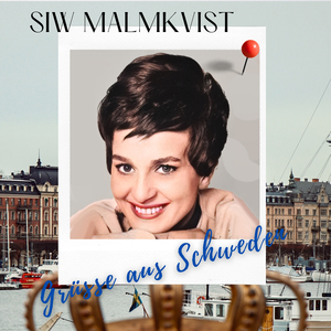 Schwarzer Kater Stanislaus