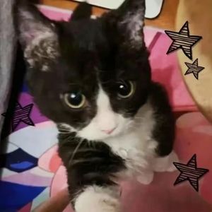 You and Me（prod.by Morrow）