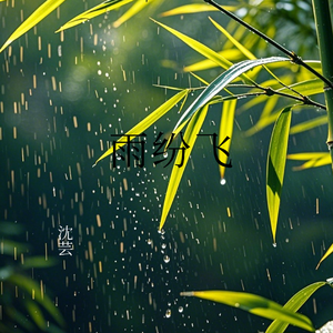雨纷飞
