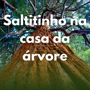 Na Casa da Árvore
