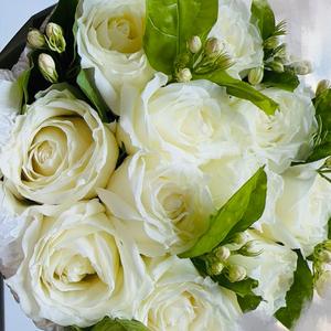 我管不住我自己