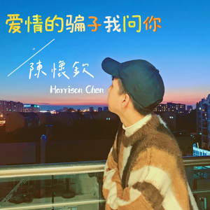 爱情的骗子我问你
