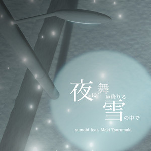 夜に舞い降りる雪の中で