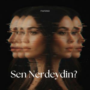 Sen Nerdeydin?