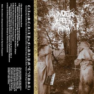 An Inevitable Embroilment Betwixt Brazen Opulence and Ivory's Filigree