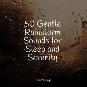 Rainy Woodland Ambience