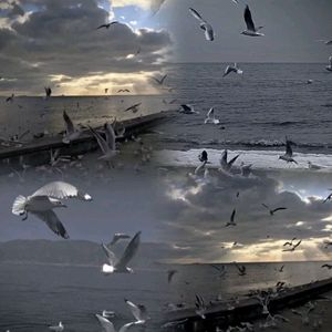 Life【Prod By Red killer】