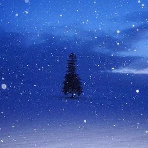 从仲夏夜到雪 就这样说再见