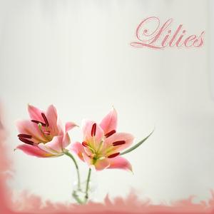 Lilies