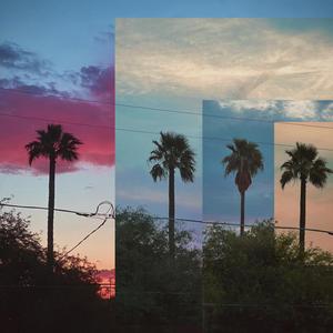 Dino Nuggies (b-stock newts)