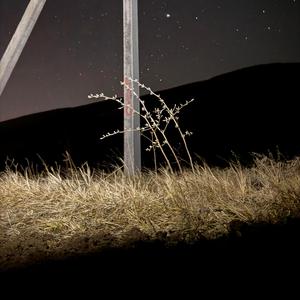 თქვენზე უარია