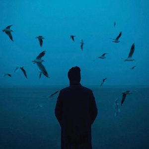 等磁场重合（释怀版）