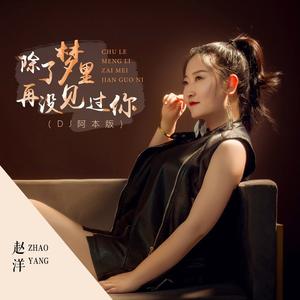 除了梦里再没见过你 (DJ阿本版)