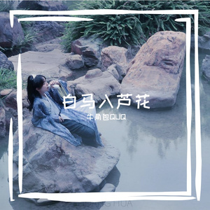 白马入芦花（Cover:河图）