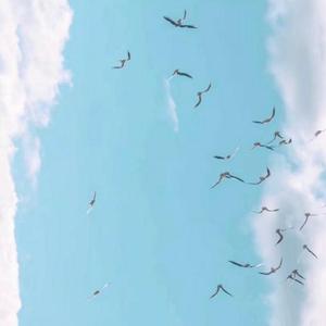 冬眠（铃声版）（翻自 司南）