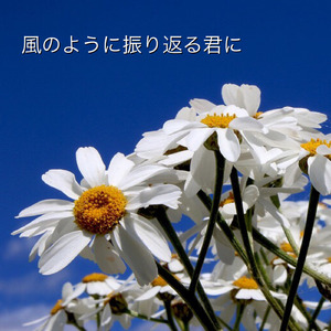 誰かが君を愛してた