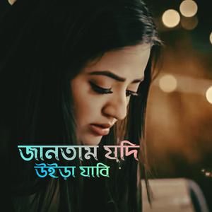 Jantam Zodi oriya jabi (instrumental)