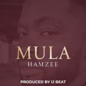Mula