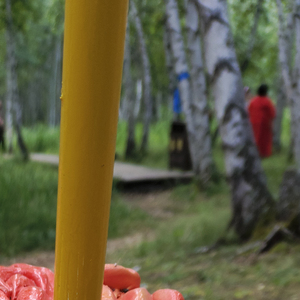 靠谁不如靠自己