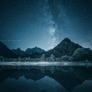 우린 겨울을 걷는다