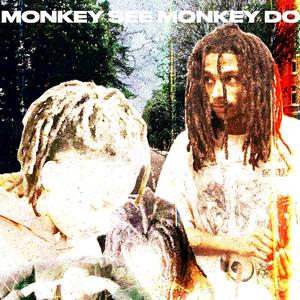 MONKEY SEE MONKEY DO