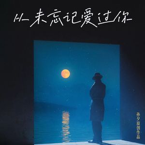 从未忘记爱过你