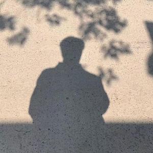 鸽子（翻自 宋冬野）