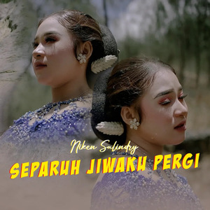 Separuh Jiwaku Pergi