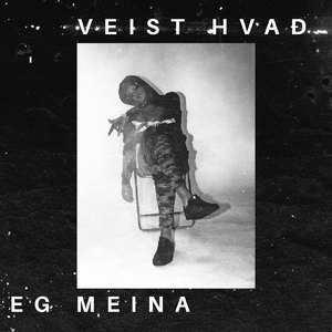 Veist Hvað Ég Meina