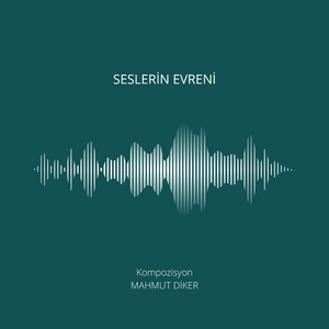 Seslerin Evreni 2