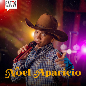 Noel Aparicio (En Vivo en Cinematic Studio, Ciudad de Barinas, Estado Barinas 2024)