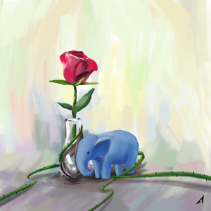 Playtoy (Art. BAYLEE (베일리)