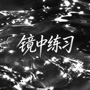 镜中练习