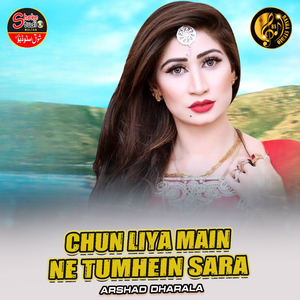 Chun Liya Main Ne Tumhein Sara (1)
