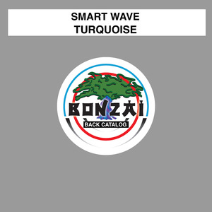 Turquoise (06R Remix)