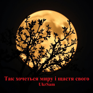 Так хочеться миру і щастя свого