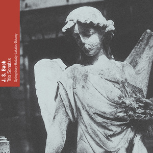 Trio Sonata in C Major, BWV 1037:I. Adagio