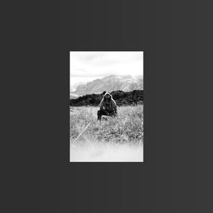 Специально