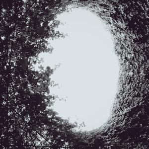 Hikikomori Of The Oort