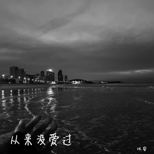 从来没爱过
