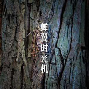 蝉翼时光机（Unforgettable）